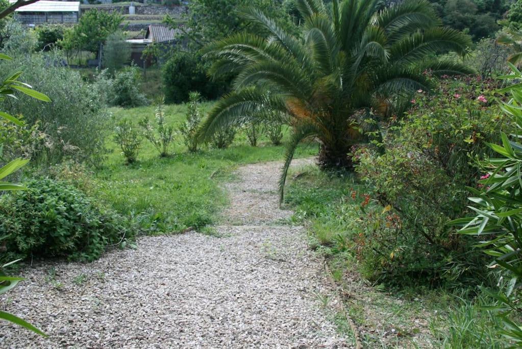 Villa Constance 3 Antibes - Spacieux Logement En Dernier Etage Dış mekan fotoğraf